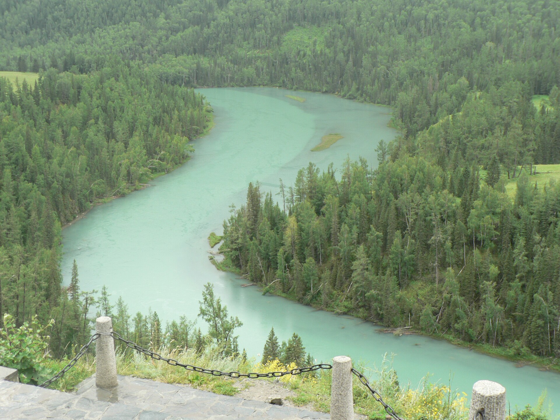 Crescent-shaped Moon Bay curves through dense forest near Kanas Lake, viewed from a fenced lookout.